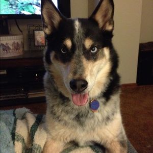 Meet your Posher, Jill